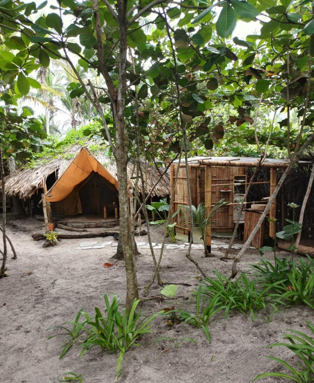 فندق Lote 10 Glamping Guachaca المظهر الخارجي الصورة