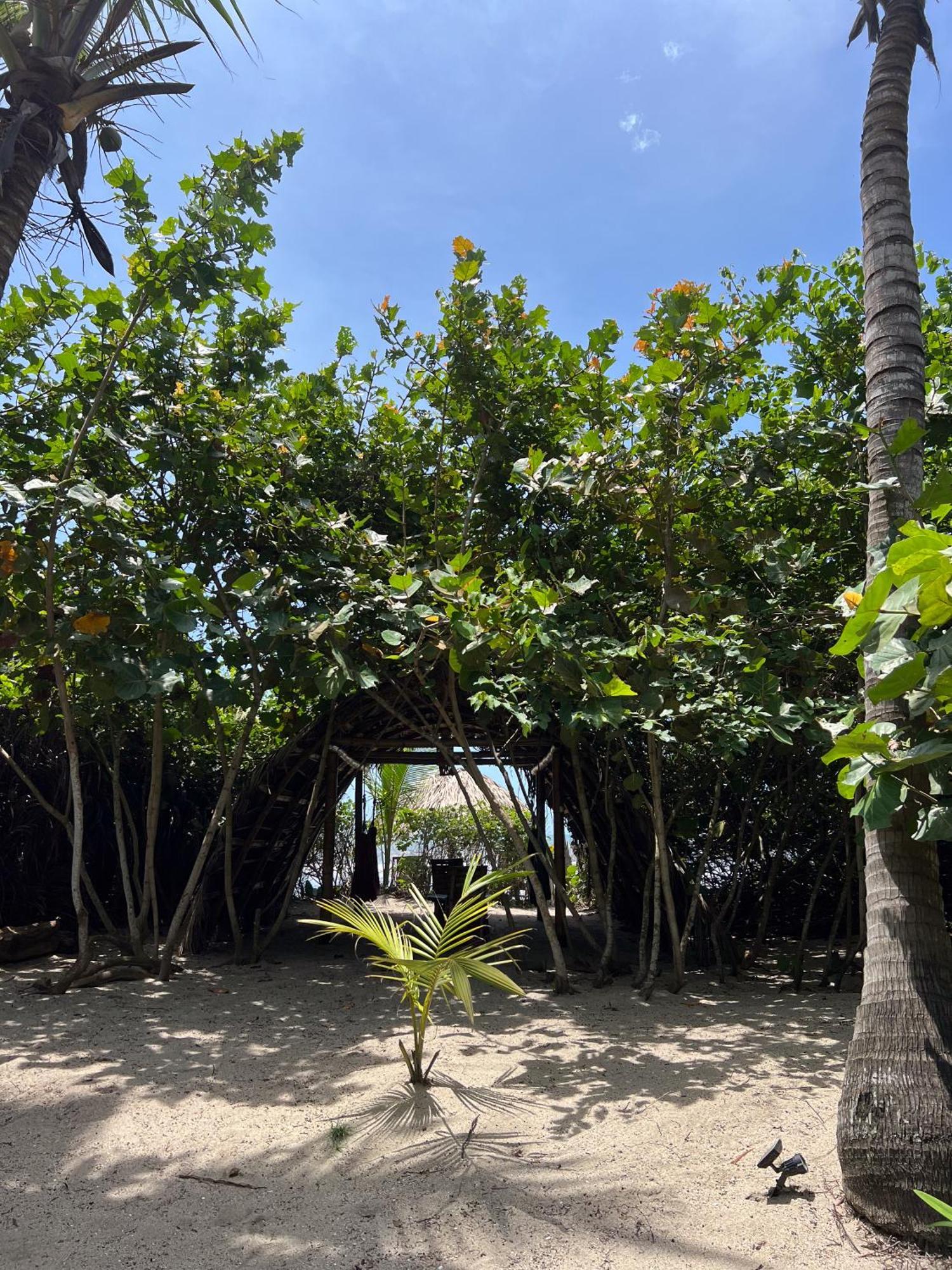 فندق Lote 10 Glamping Guachaca المظهر الخارجي الصورة